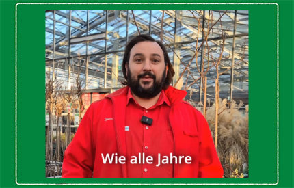 Expertentipp Februar 2026 Bild